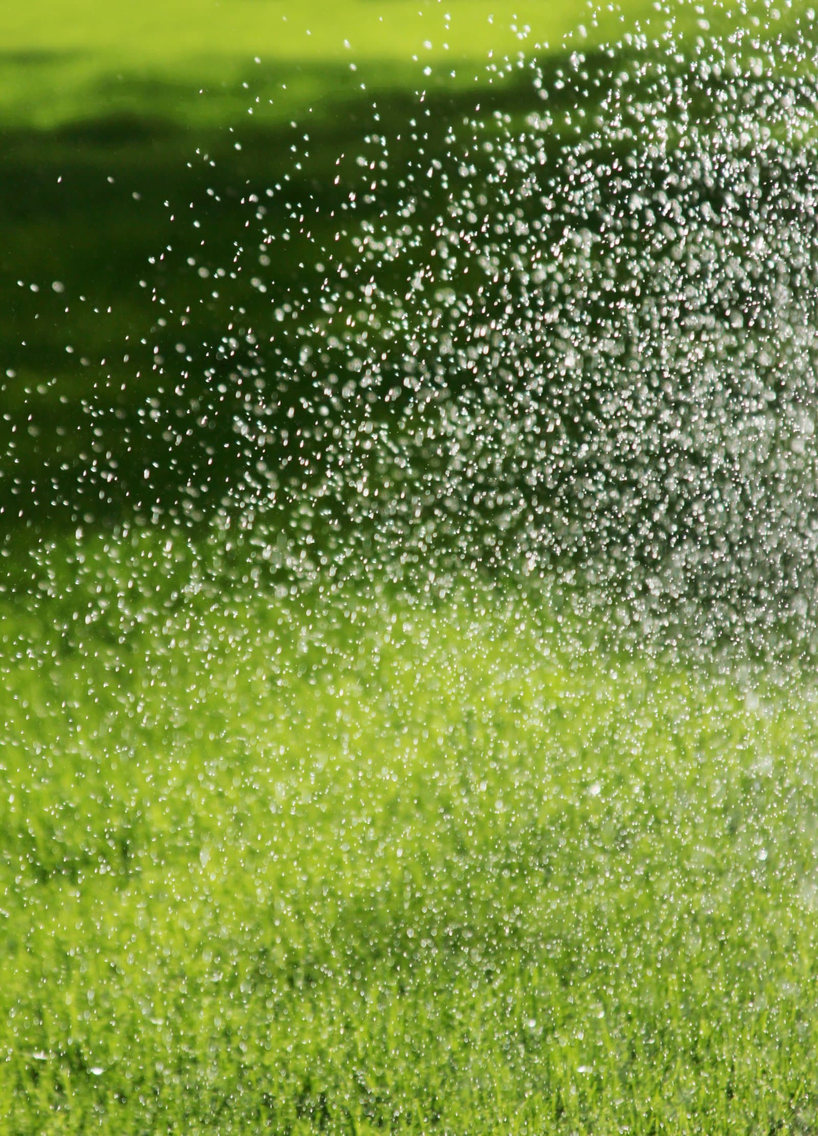 Hydroseeding