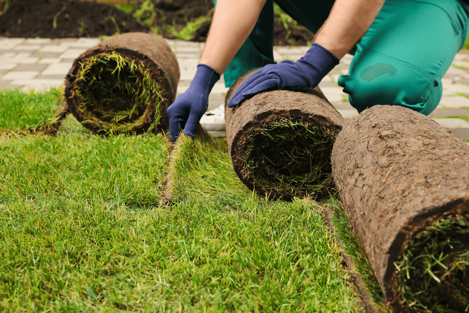 New sod installation in Mystic, CT